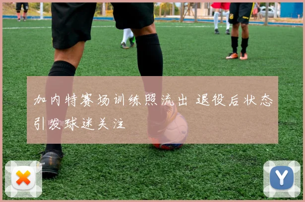 加内特赛场训练照流出 退役后状态引发球迷关注