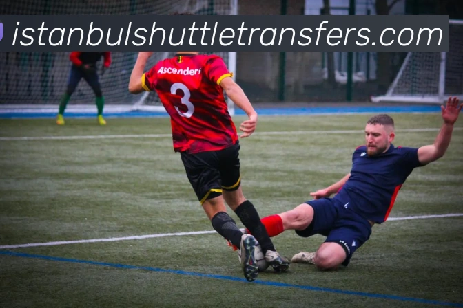 米兰官网入口平台生态图